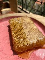 Favo de Mel - Mel Canaã