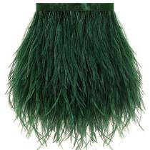 Feather Trim Soarer Ostrich 2 jardas 13-18 cm verde