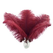Feathers Ballinger Ostrich Wine Red 35-40 cm, 12 unidades para decoração