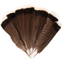 Feathers IHU Feather Natural Turkey Tails 25-30 cm, artesanato, 20 unidades