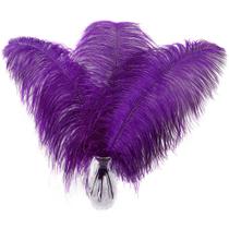 Feathers Larryhot Purple Ostrich 40-45 cm - 10 unidades para vaso Feathers Larryhot Purple Ostrich 40-45 cm - 10 unidades para vaso
