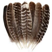 Feathers Natural Wild Turkey Wing 25-30 cm (20 unidades) para artesanato
