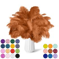 Feathers NEWONG Brown Ostrich 30 unidades naturais de 28 a 35 cm para artesanato