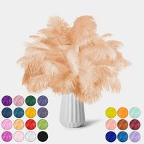 Feathers NEWONG Champagne Ostrich 30 unidades de 28 a 35 cm para artesanato