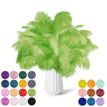 Feathers NEWONG Fruit Green Ostrich 30 unidades de 28-35 cm para artesanato