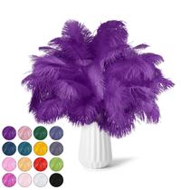 Feathers NEWONG Purple Ostrich, 30 unidades, 23 a 30 cm, decoração artesanal
