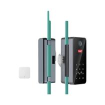 Fechadura De Porta De Vidro Inteligente Tuya Com Impressão Digital, Senha, Cartão IC E Controle