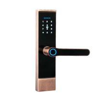 Fechadura Digital Com Biometria S808 Wifi Tuya cartão chave