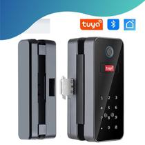 Fechadura Eletrônico de Impressão Digital Smart Lock, Tuya App, Bluetooth, WiFi - Asia-Teco