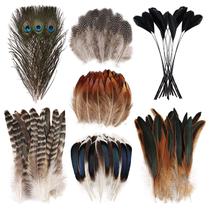 FeelFunFeather 150 peças de penas decorativas naturais mistas FeelFunFeather 150 peças de penas decorativas naturais mistas