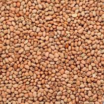 Feijão de Corda 1Kg Novinho