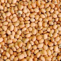 Feijão de Corda 500gr Feijão de Corda 500gr