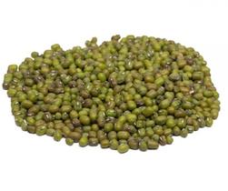 Feijão Moyashi 1 kg