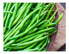 Feijao Vagem Dynamo - 1KG de Sementes/ Cultivo o Ano Todo Feijao Vagem Dynamo - 1KG de Sementes/ Cultivo o Ano Todo