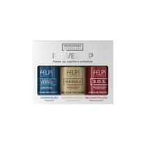Felps Cronograma Capilar Ampolas Power Up 3x15ml Felps Cronograma Capilar Ampolas Power Up 3x15ml
