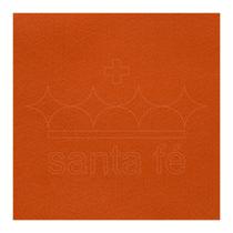 Feltro 50cm x 70cm Tijolo Ref 049 180g Santa Fé Feltro 50cm x 70cm Tijolo Ref 049 180g Santa Fé