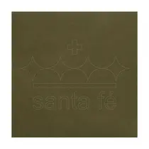 Feltro 50cm x 70cm Verde Musgo Escuro Ref 009 180g Santa Fé Feltro 50cm x 70cm Verde Musgo Escuro Ref 009 180g Santa Fé