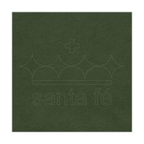Feltro 50cm x 70cm Verde Musgo Ref 006 180g Santa Fé