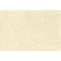 Feltro Liso Santa FÉ 1,40M Bege Palha REF 72 - Rolo com 10 Metros Feltro Liso Santa FÉ 1,40M Bege Palha REF 72 - Rolo com 10 Metros