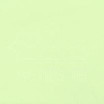 Feltro Liso Santa Fé - 222 Verde Caribe Light