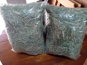 Feno capim natural Tifton, Para animais equinos e roedores. Feno capim natural Tifton, Para animais equinos e roedores.