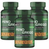 Feno greg o 180 Cápsulas 500mg 3 frascos 60 capsulas