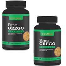 Feno greg o 240 Cápsulas 500mg Kit 2 frascos x 120 cápsulas
