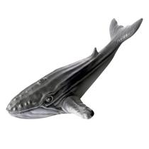 Feras Aquáticas Com Detalhes Realistas 26cm Em Vinil Macio Tubarão, Jacaré, Baleia Diversas Para Piscina Cometa