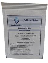 Fermento para queijos Prato/Reino/Mussarela/Minas Padrão BV - MX 02 0,1U ( 10 litros de leite ) - Bela Vista