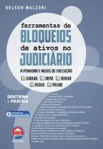Ferramentas de Bloqueios de Ativos no Judiciario: a Penhora e Meios de Exec