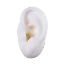 Ferramentas De Prática De Tatuagem Modelo De Piercing De Silicone De Orelha Macia Com Kit De Suporte