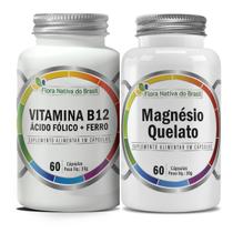 Ferro + Ácido Fólico + Vitamina B12 Metilcobalamina 500mg 60 Caps + Magnésio Quelato 60 Caps 500mg