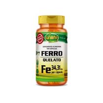 Ferro Quelato 500mg 60 Cápsulas Unilife Suplemento de Ferro com Alta Absorção Ferro Quelato 500mg 60 Cápsulas Unilife Suplemento de Ferro com Alta Absorção