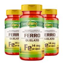 Ferro Quelato 60 cápsulas 500mg Kit com 3