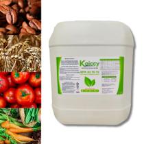 Fertilizante adubo liquido Concentrado Galão de 20Lts Npk 20.10.10 (Rende 5000lts) - KOICCY