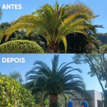 Fertilizante biológico líquido