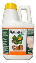 Fertilizante Cab Cálcio E Boro 5 Litros