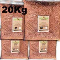 Fertilizante Cloreto Potássio Granulado 20 Kg Adubo 60%kcl