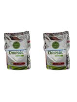 Fertilizante Ferro Q48 Dripsol 700g Para Cultivos Catalisa Biossíntese 2 Unid.