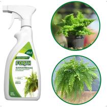Fertilizante Forth Samambaias Borrifador 500ml Pronto Uso