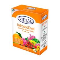 Fertilizante Hidrossolúvel Hidroponia 400g Rende 200l Vithal