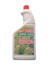 Fertilizante Liquido Sempre Verde Para Samambaia 750ml -Refil