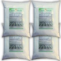 Fertilizante Map Purificado 20kg Fosfato Monoamônico Hidropo Fertilizante Map Purificado 20kg Fosfato Monoamônico Hidropo