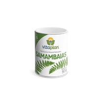 Fertilizante Mineral Misto Samambaias Vitaplan 30 Pastilhas