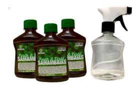 Fertilizante para Samambaias Pronto para Uso 250 ml - 3 unidades + borrifador
