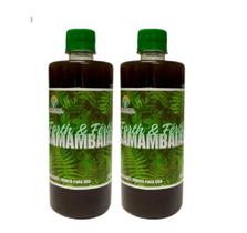 Fertilizante para Samambaias Pronto para Uso 500 ml - 2 unidades + borrifador