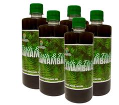 Fertilizante para Samambaias Pronto para Uso 500 ml - 5 unidades