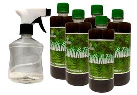 Fertilizante para Samambaias Pronto para Uso 500 ml - 5 unidades + borrifador