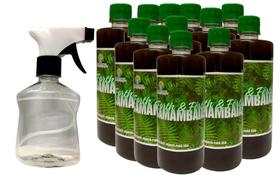 Fertilizante para Samambaias Pronto para Uso 500 ml - Forth & Fértil - 10 unid. + 1 Spray Vd00