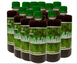 Fertilizante para Samambaias Pronto para Uso 500 ml - Forth & Fértil - 12 unid. Vd00 - agrolidher